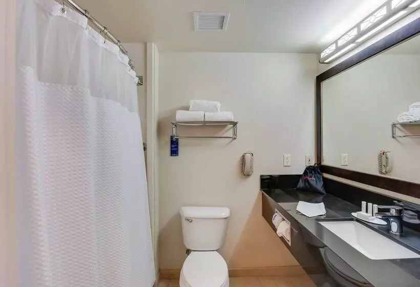 اتاق استاندارد با 2 تخت دوبل, Fairfield Inn & Suites By Marriott San Francisco Airport