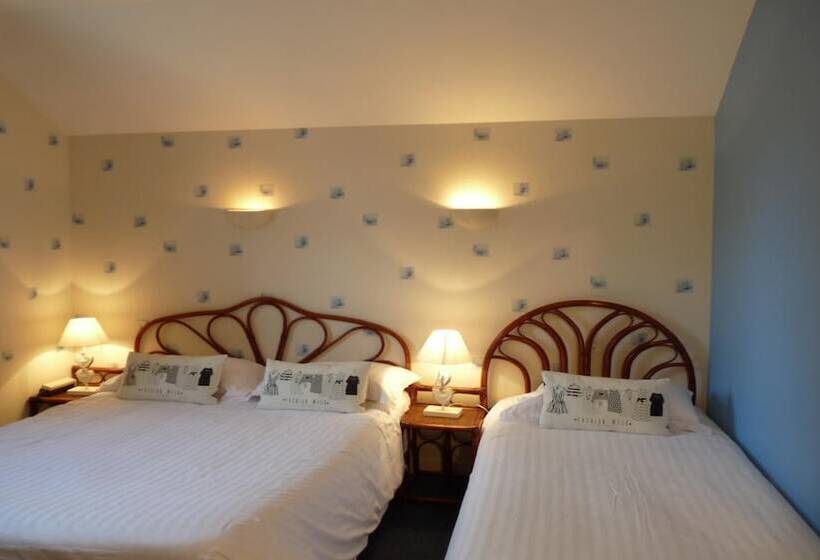 غرفة قياسية ثلاثية, Logis Hôtel Ariane