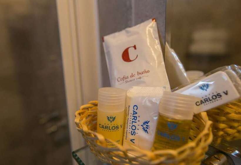 高级大房间, Carlos V Patagonia