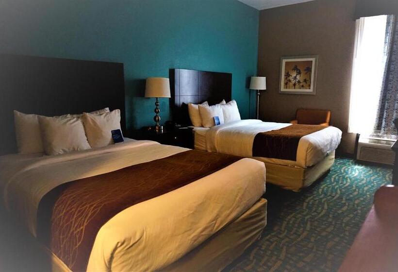 スタンダードルーム, Comfort Inn & Suites Fort Lauderdale West Turnpike