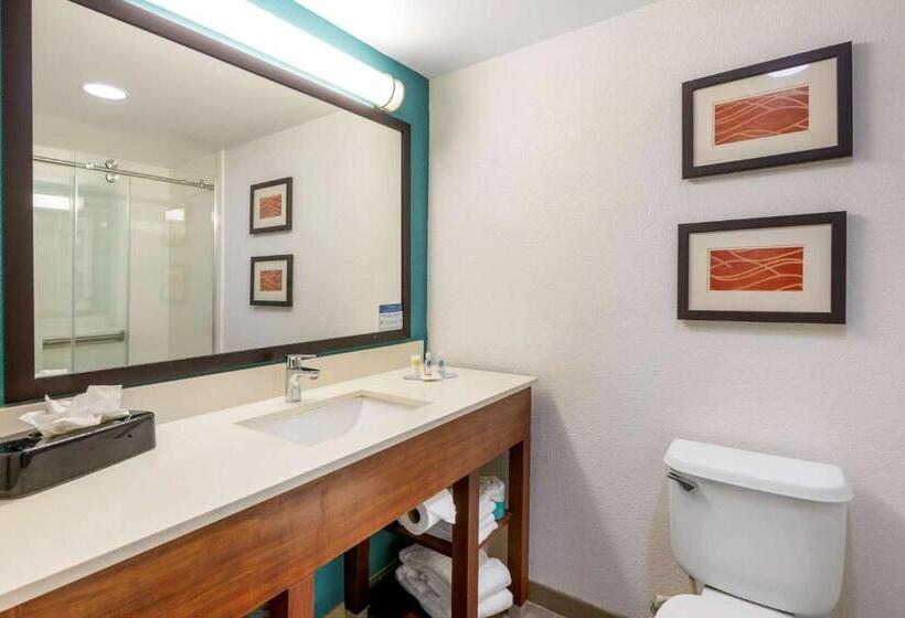 غرفة قياسية, Comfort Inn & Suites Fort Lauderdale West Turnpike