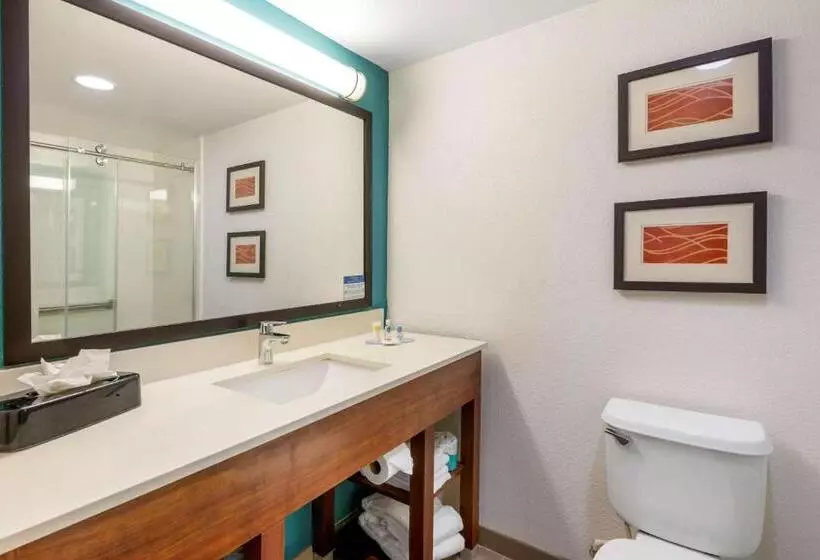 اتاق استاندارد, Comfort Inn & Suites Fort Lauderdale West Turnpike