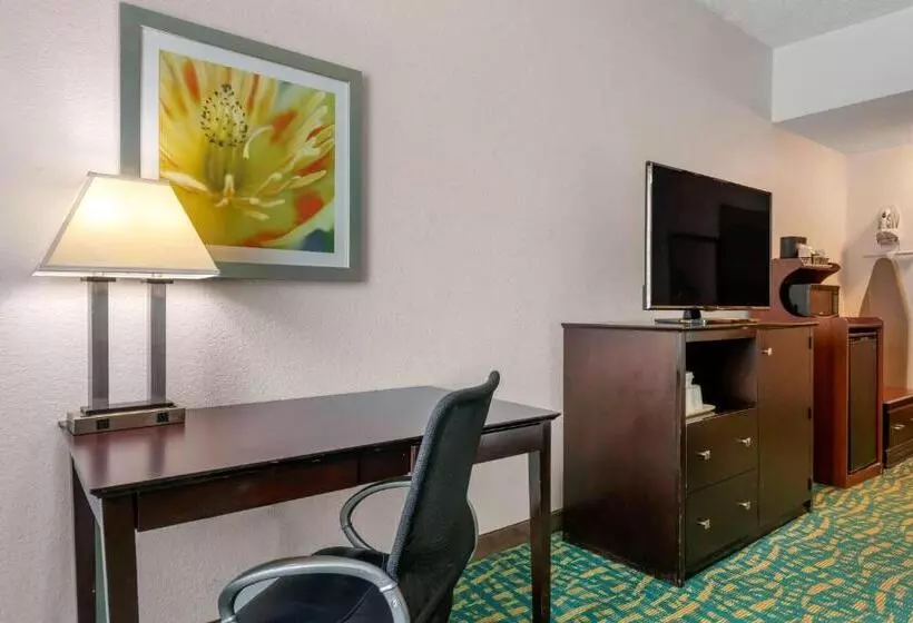 اتاق استاندارد با تخت بزرگ برای معلولان, Comfort Inn & Suites Fort Lauderdale West Turnpike