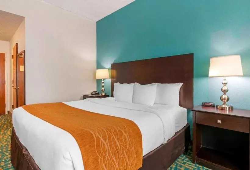 اتاق استاندارد با تخت بزرگ برای معلولان, Comfort Inn & Suites Fort Lauderdale West Turnpike