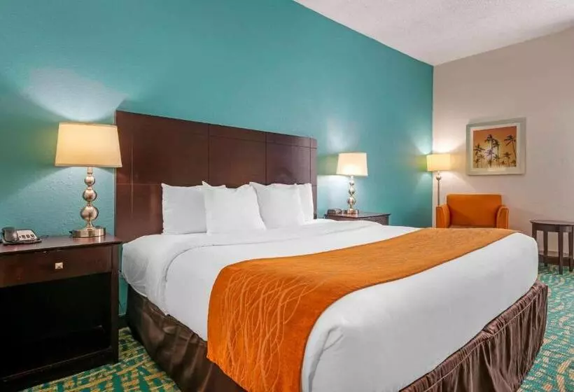 اتاق استاندارد با تخت بزرگ برای معلولان, Comfort Inn & Suites Fort Lauderdale West Turnpike
