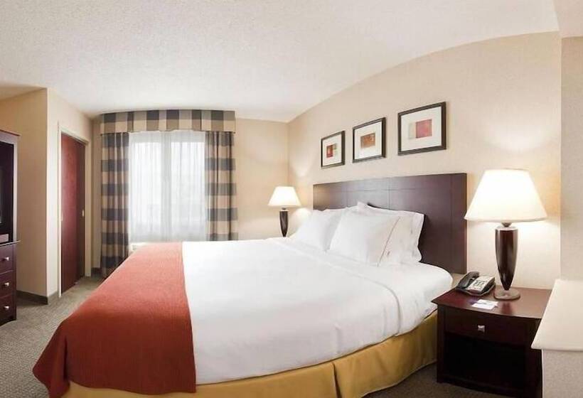 اتاق استاندارد, Holiday Inn Express & Suites Bradley Airport, An Ihg