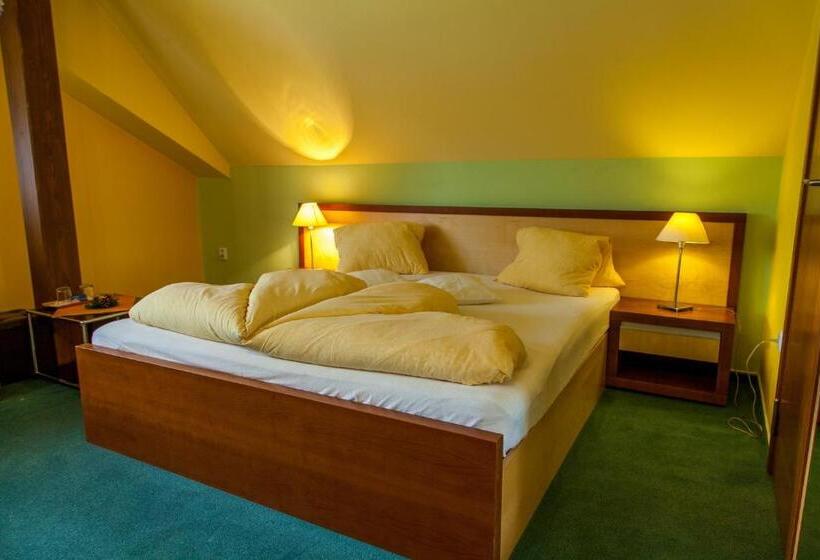 غرفة قياسية, Penzion U Pejtrika