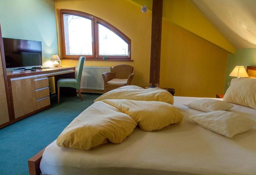 غرفة قياسية, Penzion U Pejtrika