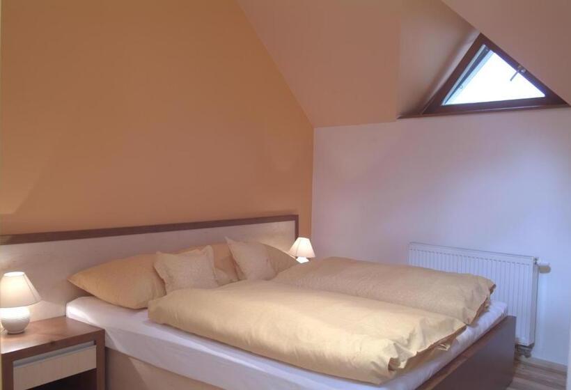 إستوديو قياسى سرير كينج, Penzion U Pejtrika