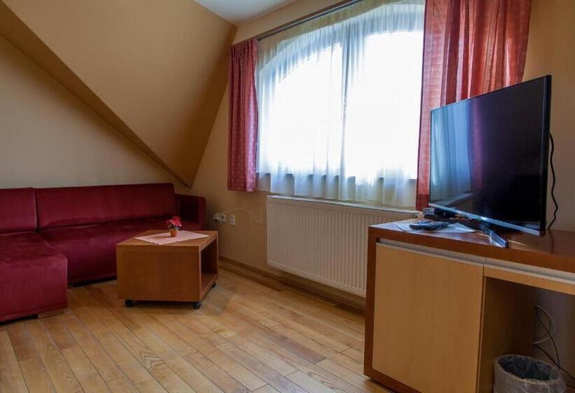 إستوديو قياسى سرير كينج, Penzion U Pejtrika