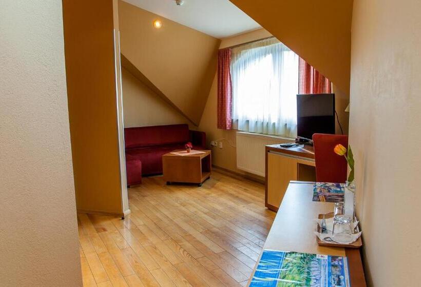 إستوديو قياسى سرير كينج, Penzion U Pejtrika