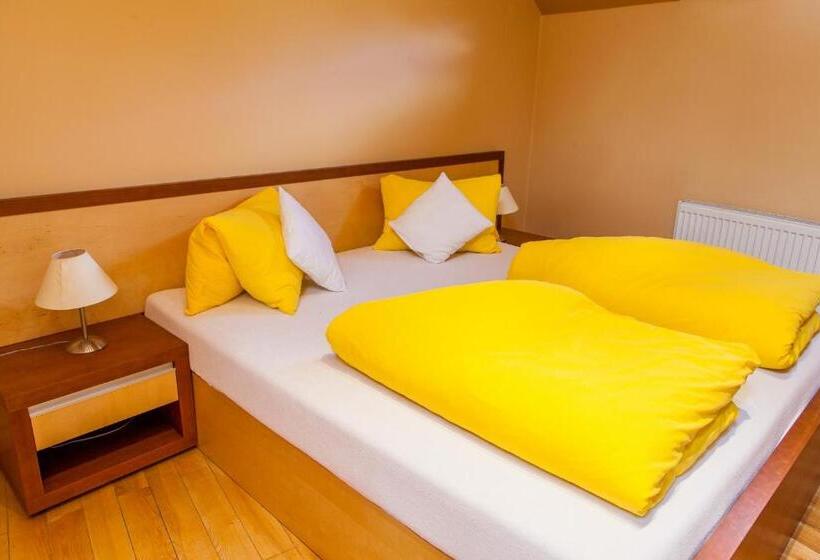 Студио Стандарт Кровать Кинг, Penzion U Pejtrika