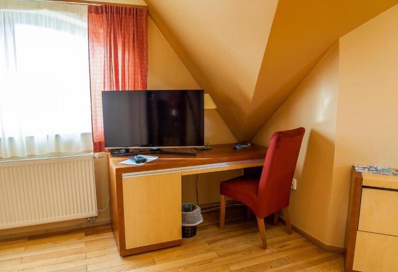 إستوديو قياسى سرير كينج, Penzion U Pejtrika