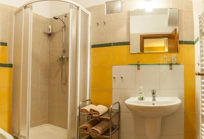 إستوديو ديلوكس, Penzion U Pejtrika