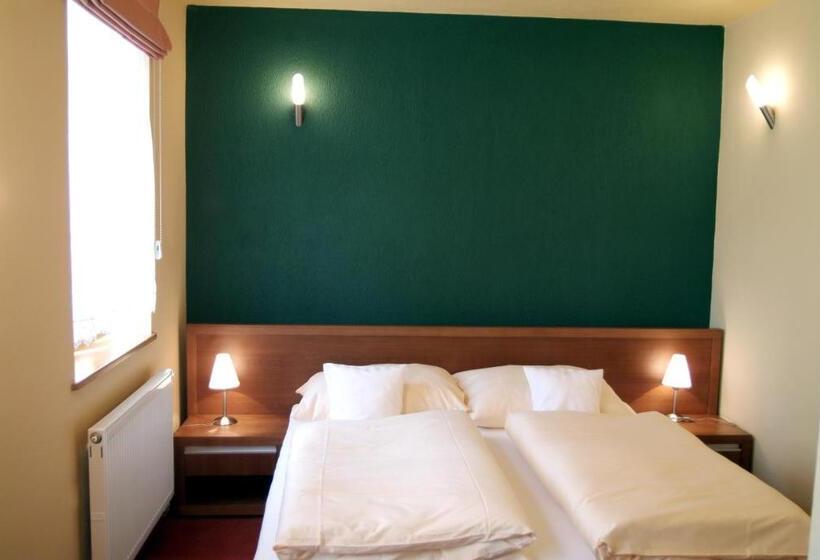 إستوديو ديلوكس, Penzion U Pejtrika