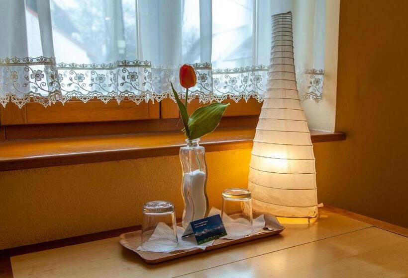 Студия Deluxe, Penzion U Pejtrika