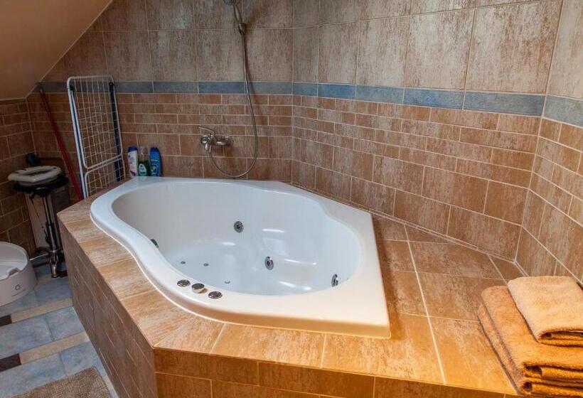 Апартаменты 3 Спальни, Penzion U Pejtrika