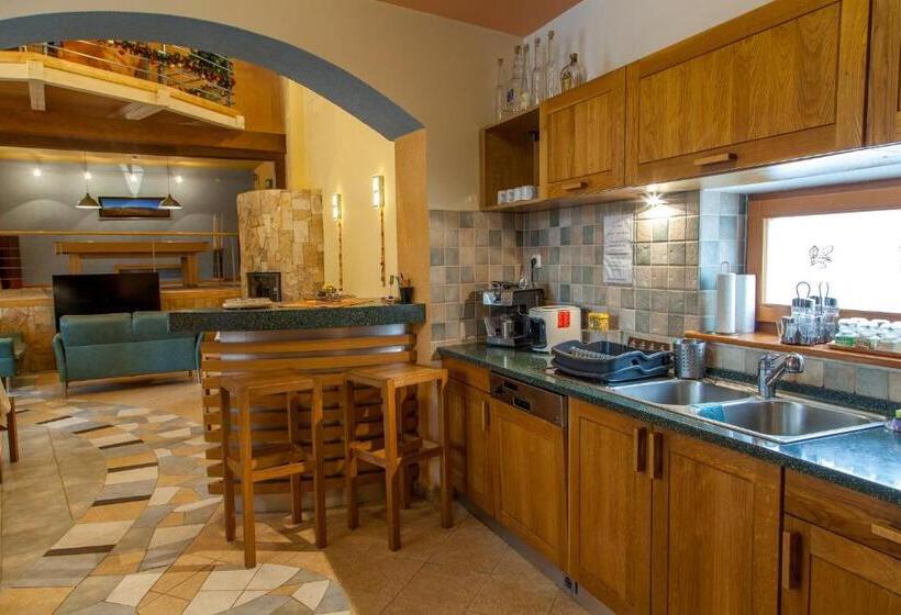 منزل غرفة نوم واحدة, Penzion U Pejtrika