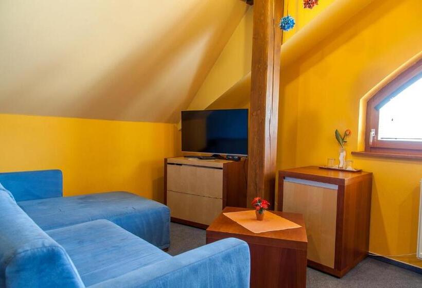 شقة غرفة واحدة, Penzion U Pejtrika