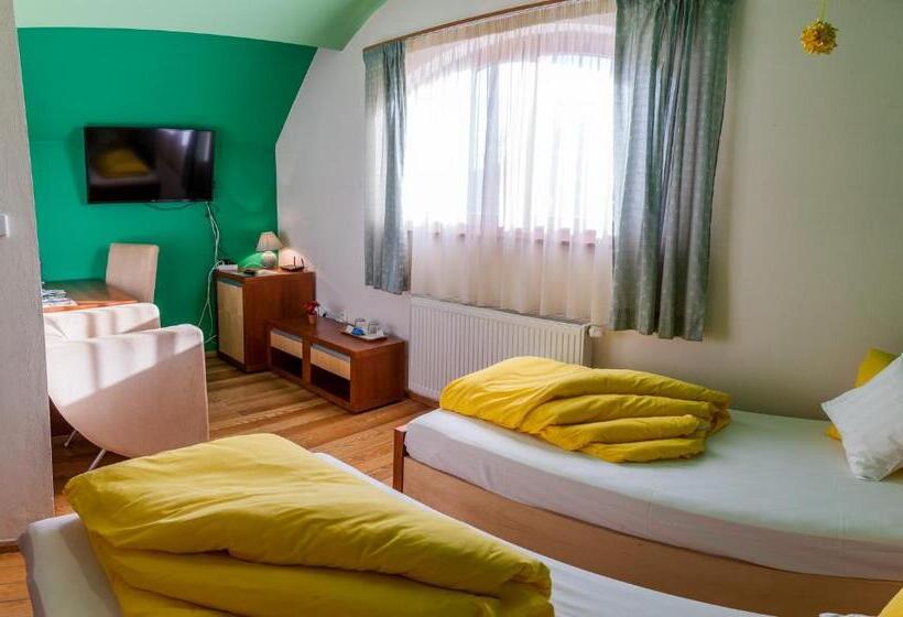 Номер Стандарт, Penzion U Pejtrika