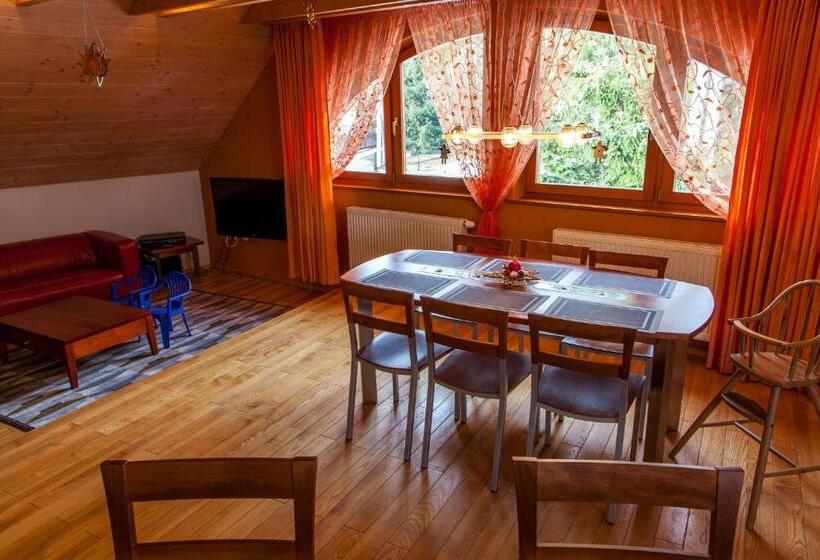 منزل غرفة نوم واحدة, Penzion U Pejtrika