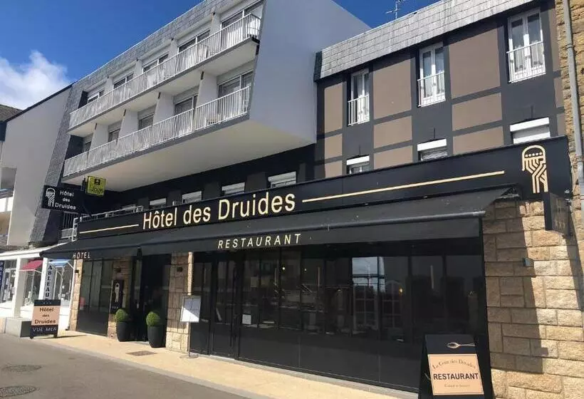 اتاق استاندارد, Hôtel Des Druides
