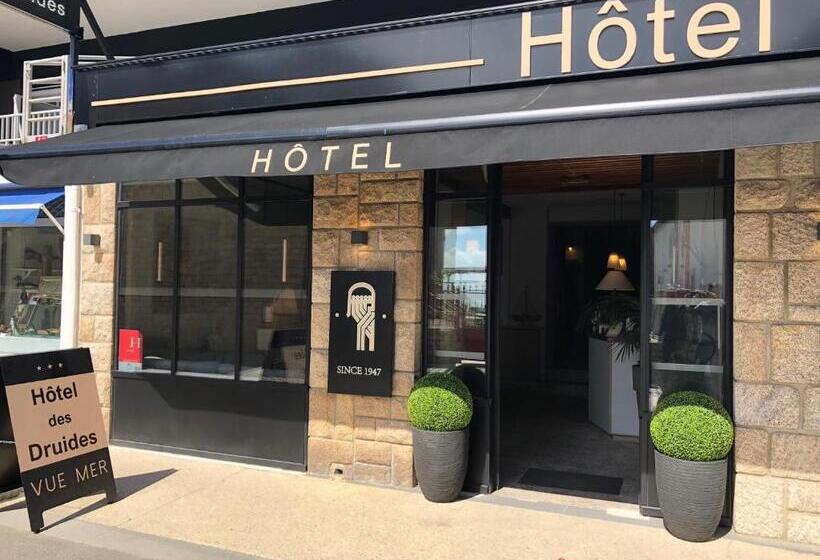 חדר סטנדרט, Hôtel Des Druides