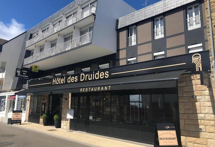اتاق استاندارد با چشم‌انداز دریا, Hôtel Des Druides
