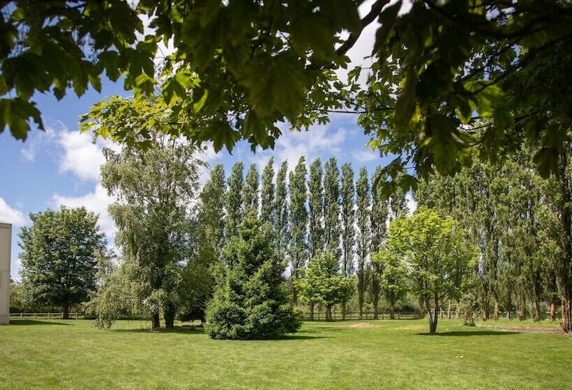 חדר קומפורט לשלושה, Restaurant Le Sainte Mere