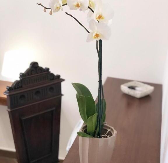 Семейный Номер, B&b La Melagrana