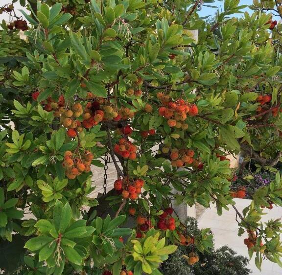 غرفة ديلوكس, Corte Dei Salentini