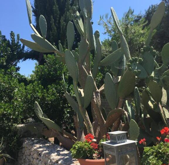 غرفة قياسية, Corte Dei Salentini