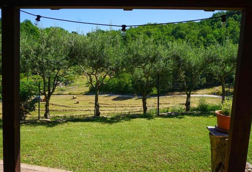 דירת חדר בקומת קרקע, Agriturismo Pascucci