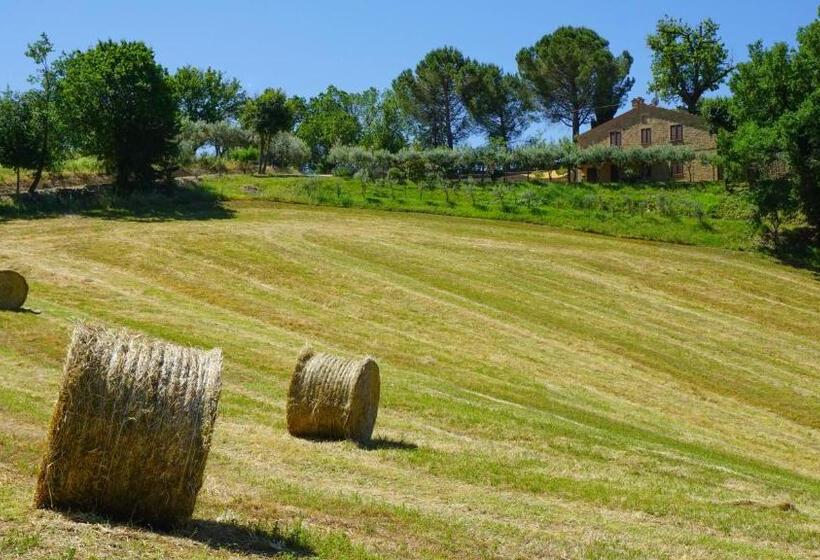דירת חדר בקומת קרקע, Agriturismo Pascucci