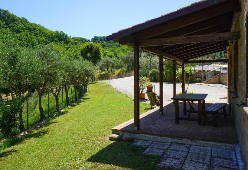Апартаменты 1 Спальня Нижний Этаж, Agriturismo Pascucci