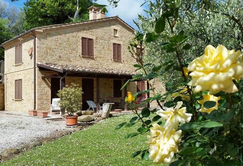 Апартаменты 1 Спальня Нижний Этаж, Agriturismo Pascucci