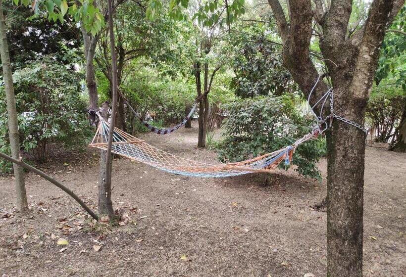 סטודיו משפחתי, La Pineta