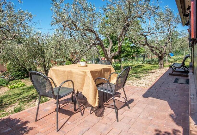 کلبه ییلاقی, L Agrifoglio Di Assisi Residenza Di Campagna