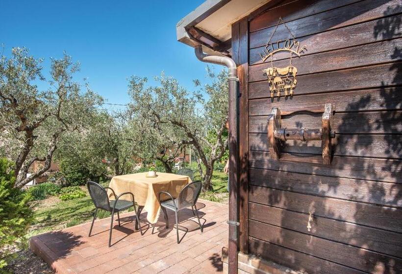 کلبه ییلاقی, L Agrifoglio Di Assisi Residenza Di Campagna