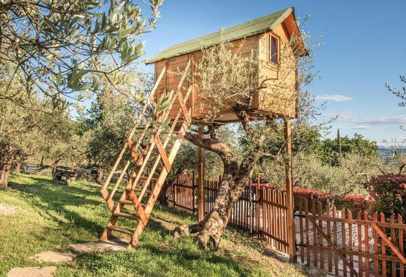 스탠다드 룸, L Agrifoglio Di Assisi Residenza Di Campagna