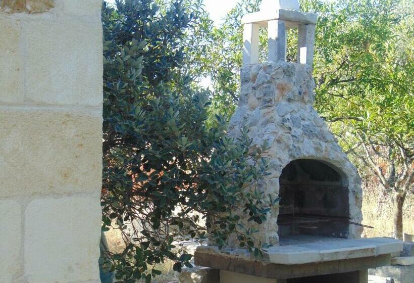 شقة غرفتين, Vacanze Al Minci