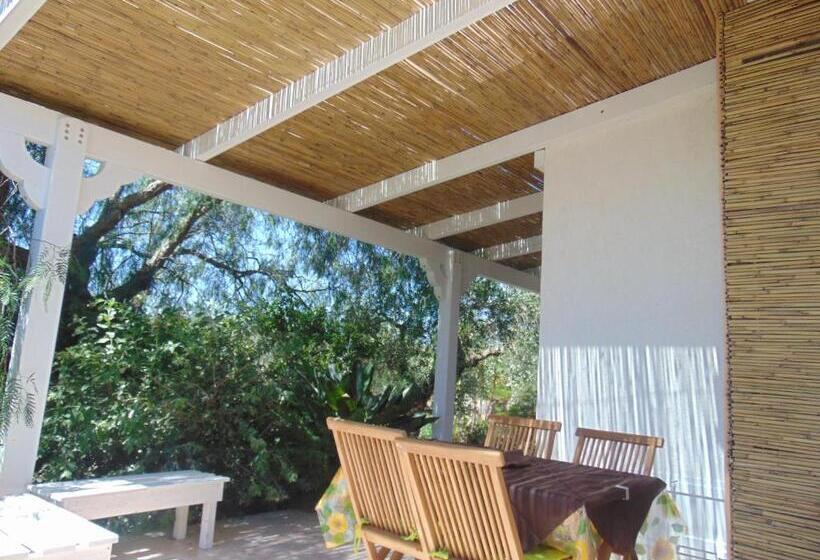 شقة غرفتين, Vacanze Al Minci