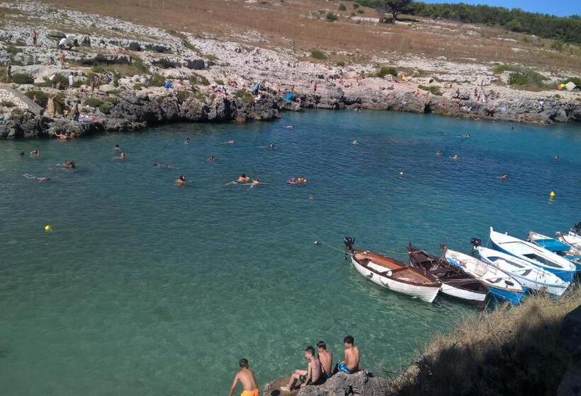 شقة غرفتين, Vacanze Al Minci