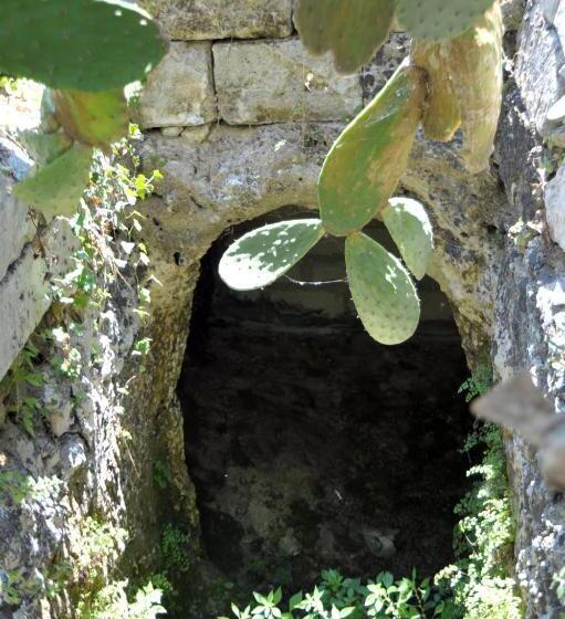 شقة غرفتين, Vacanze Al Minci