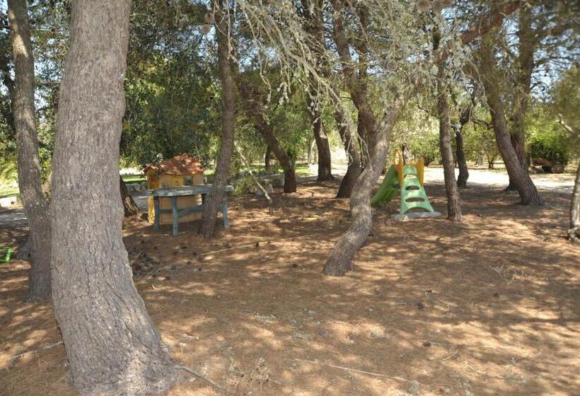 شقة غرفتين, Vacanze Al Minci