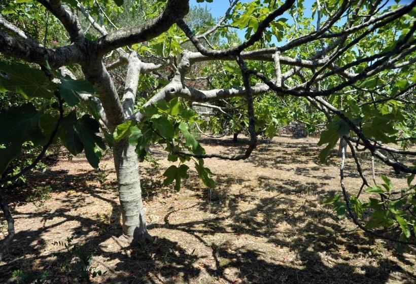 غرفة ديلوكس رباعية, Vacanze Al Minci