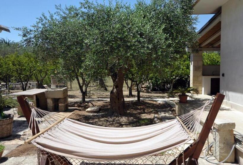 شقة غرفتين, Vacanze Al Minci