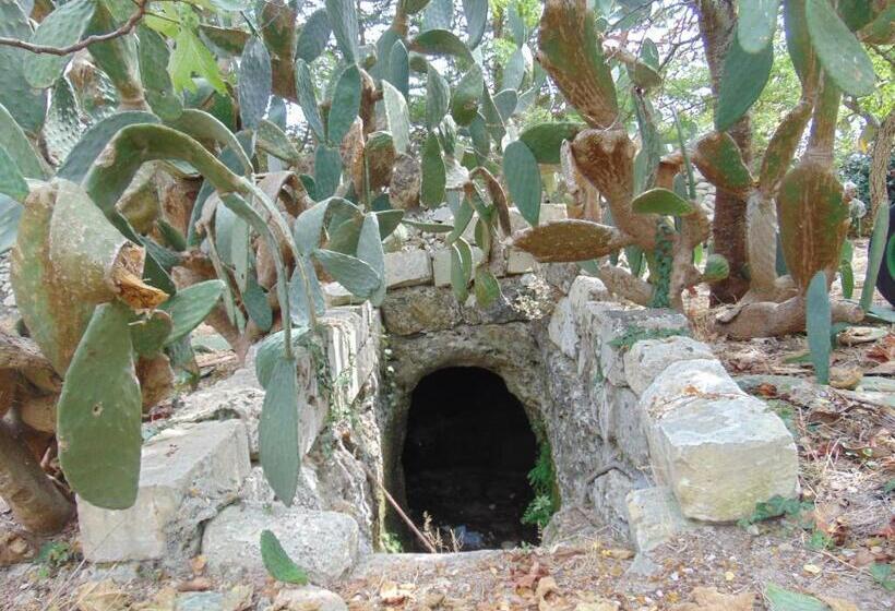 شقة غرفتين, Vacanze Al Minci