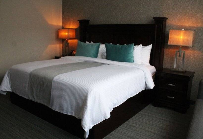 غرفة سوبيريور, Gran Hotel Concordia San Luis Potosi