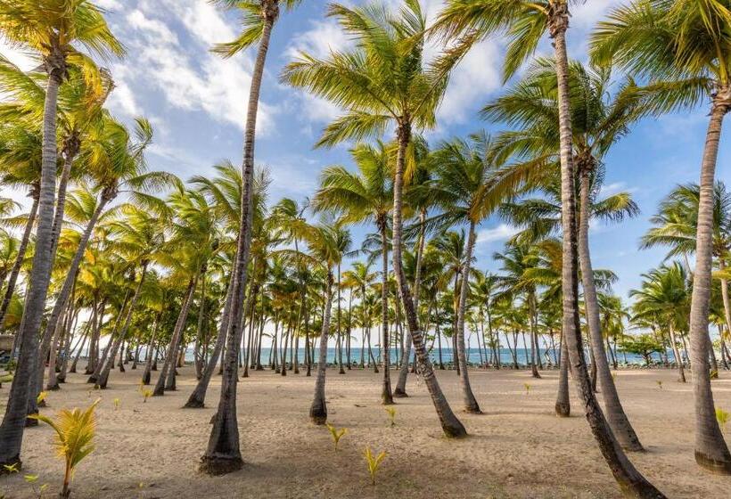 غرفة سوبيريور مطلّة علي البحر, Playabachata